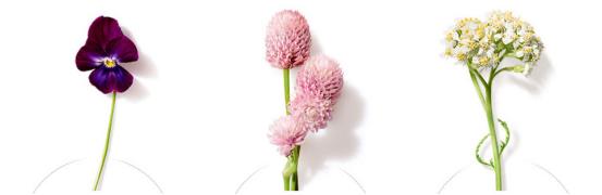 澳洲茱莉蔻护手霜价格,澳洲茱莉蔻的护肤品