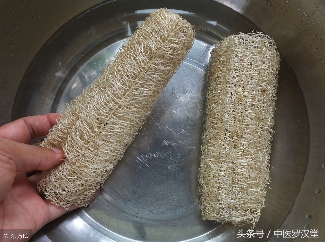 清热凉血祛风止痒,清热解毒祛风凉血活血化瘀