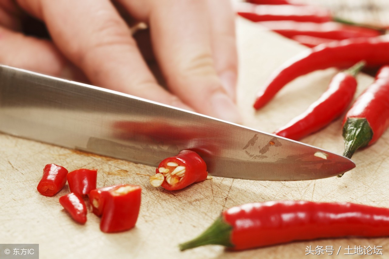 切辣椒手特别辣有什么解决,切了辣椒手很辣用清凉油有用吗