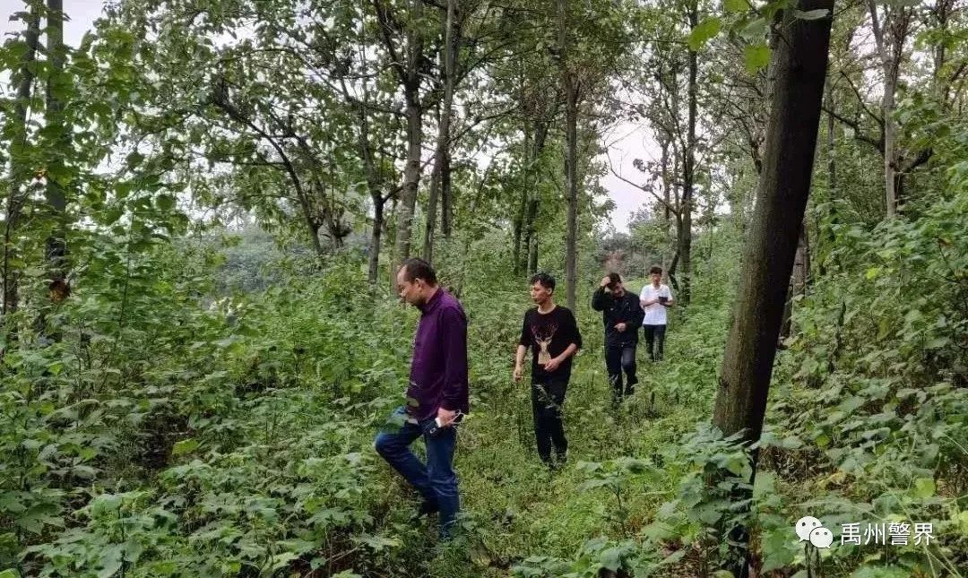 火车票防诈骗最佳方案,火车票购票短信诈骗