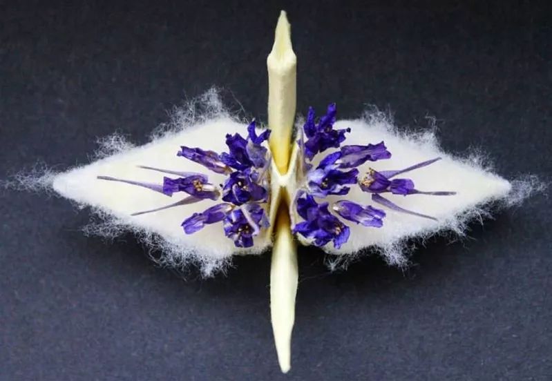 每天折一个千纸鹤,每天折一只纸鹤