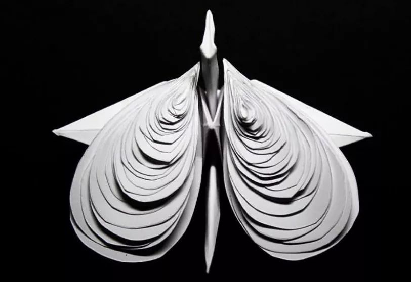 每天折一个千纸鹤,每天折一只纸鹤