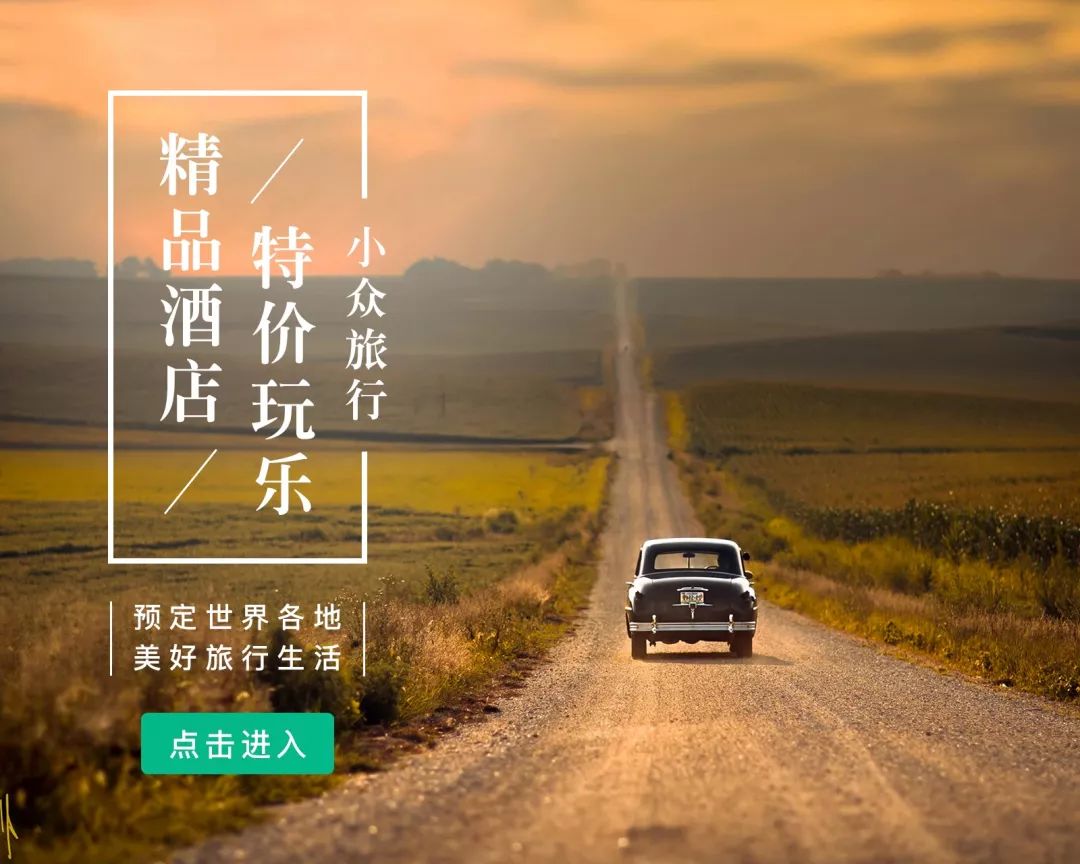 不敢晒支付宝账单？这几件让生活变美的小物，花钱也值！