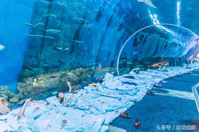 瓒崇悆涓轰即,瓒崇悆鐩镐即