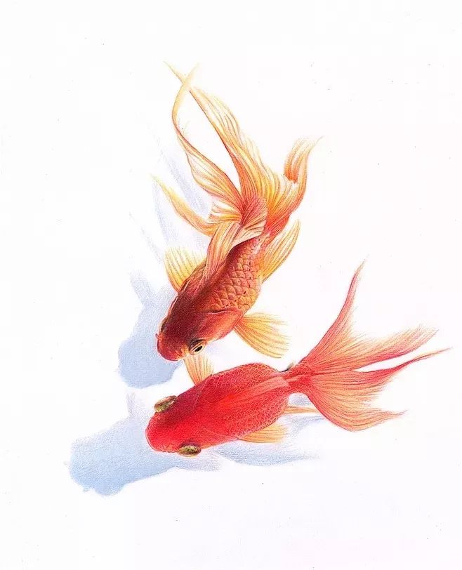 拥有800万超高人气，看看这位大神，是如何用水溶彩……