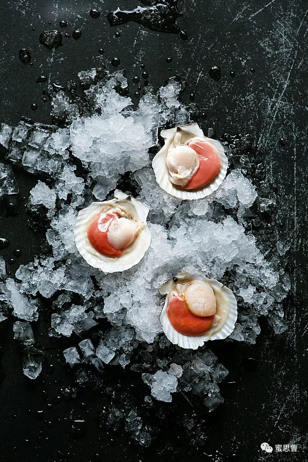 她是苏小糖，城里最会生活的摄影师：如何忙碌，都不曾错失生活