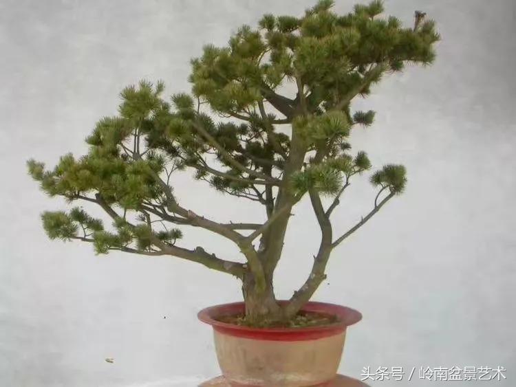 神来之笔绘画作品欣赏,神来之笔书法作品大全