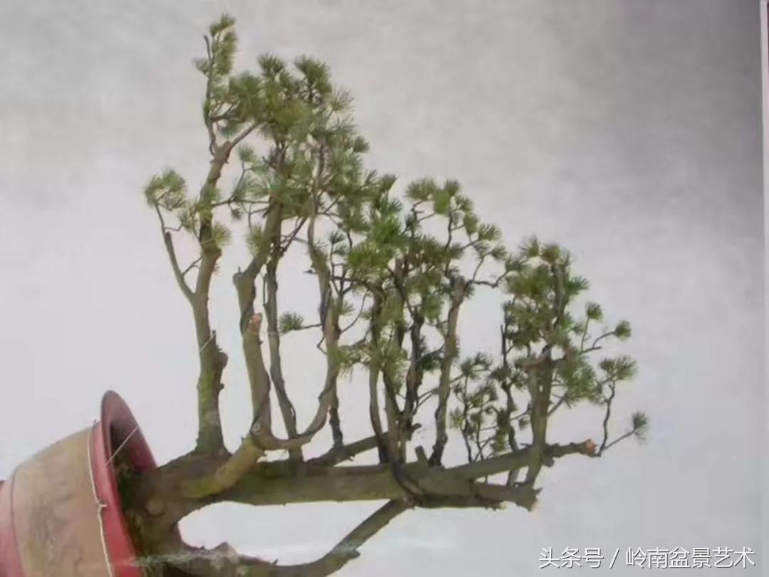 神来之笔绘画作品欣赏,神来之笔书法作品大全