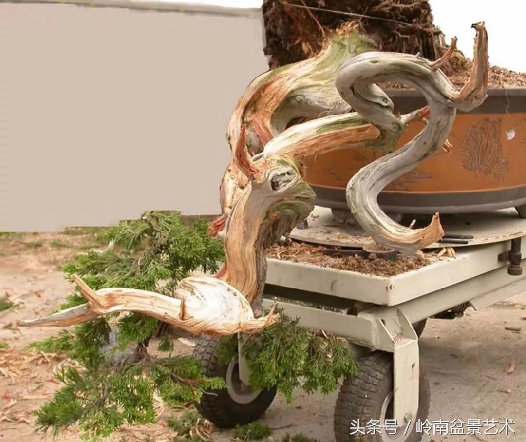 神来之笔绘画作品欣赏,神来之笔书法作品大全