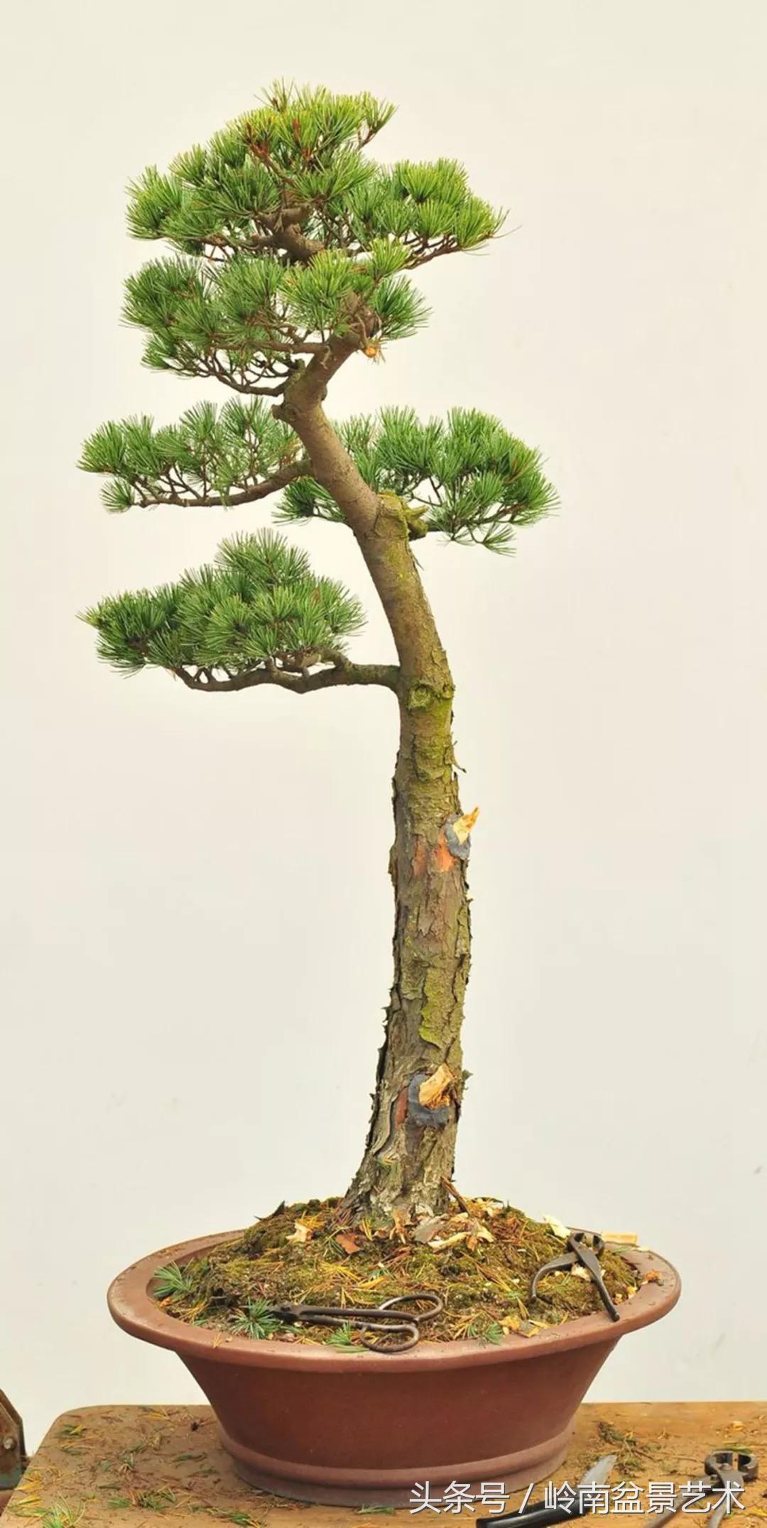 神来之笔绘画作品欣赏,神来之笔书法作品大全