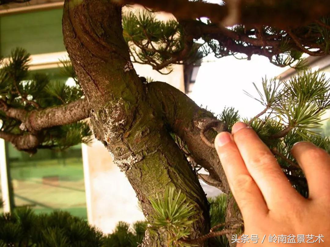 神来之笔绘画作品欣赏,神来之笔书法作品大全