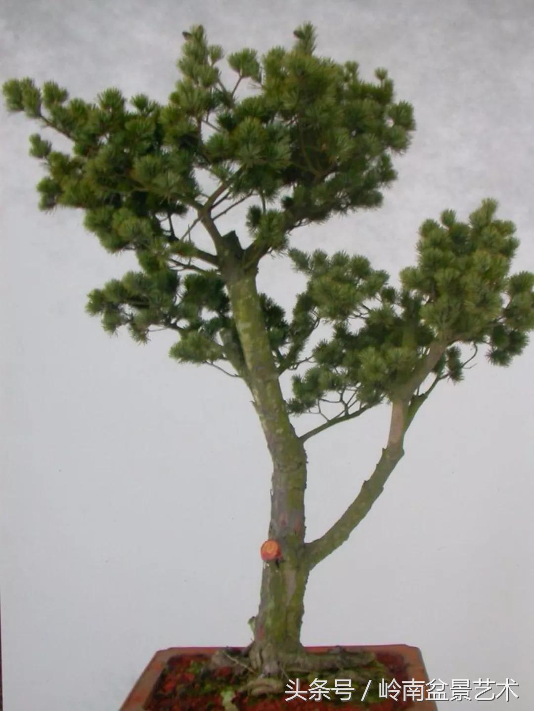 神来之笔绘画作品欣赏,神来之笔书法作品大全