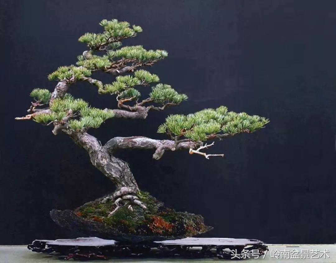 神来之笔绘画作品欣赏,神来之笔书法作品大全