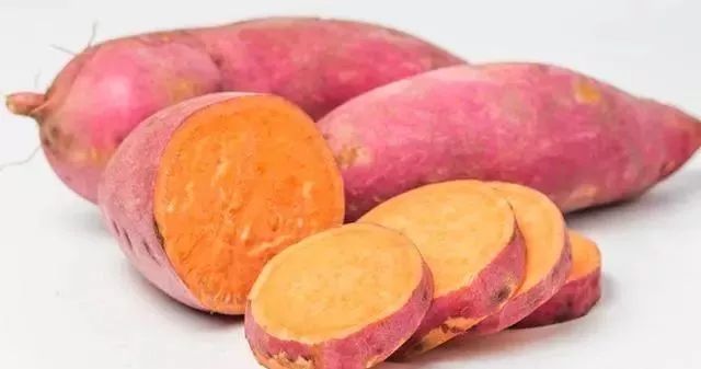 红薯土法保存的红薯不烂,红薯种植技术红薯储存