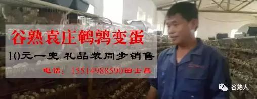 四大名著十大催人泪下插曲,四大名著电视剧插曲首首经典