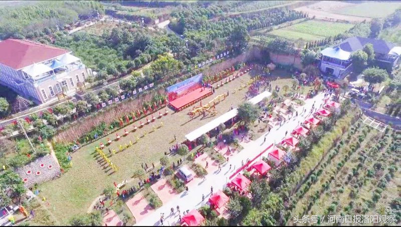 中国农民丰收节孟津主会场宣传片,洛阳第三届中国农民丰收节会场