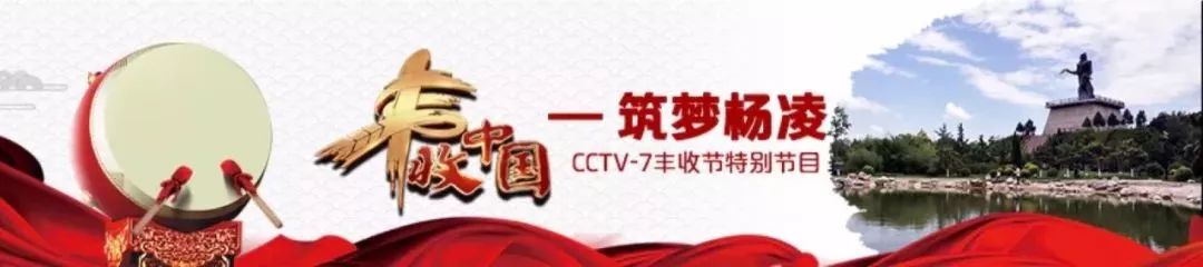 丰收节现场直播报道,丰收节央视新闻直播间