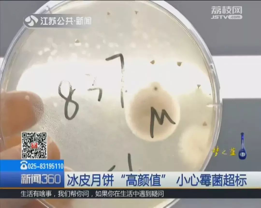 冰皮月饼皮发霉还能吃吗,冰皮月饼霉菌超标是什么颜色