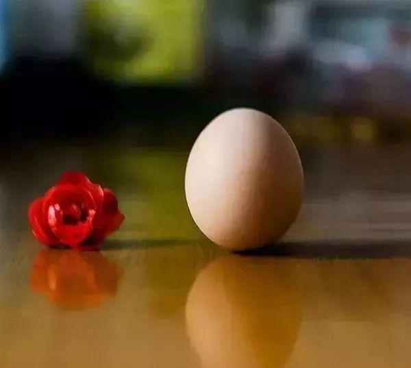 秋分中国农民丰收节会议视频,秋分共庆中国农民丰收节