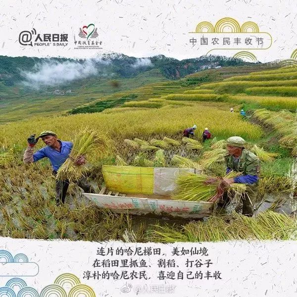 秋分中国农民丰收节会议视频,秋分共庆中国农民丰收节