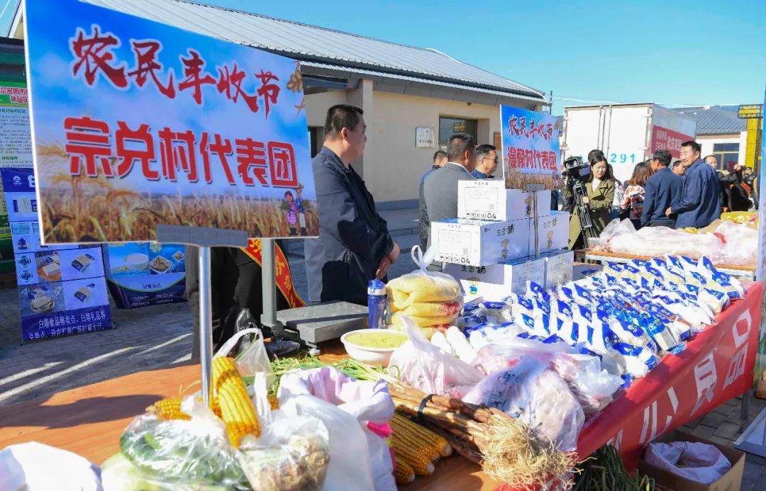 现场太火爆！看东胜区折家梁村如何庆丰收！