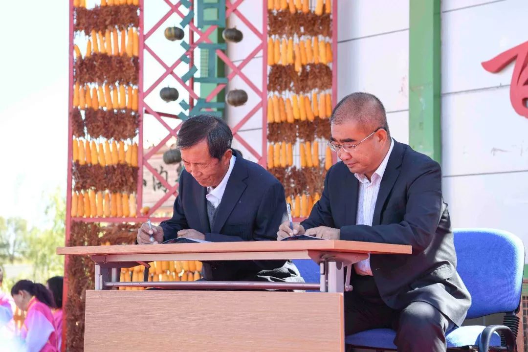 现场太火爆！看东胜区折家梁村如何庆丰收！