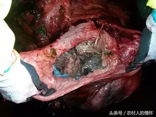 “三竹”过后真正的报应来了