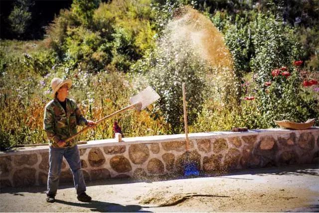 从头到尾农村小院改造的全过程,1.5亩农村小院改造经典案例