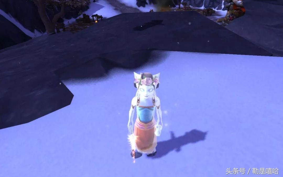 魔兽世界各种稀有宠物排名,魔兽世界稀有宠物排行榜