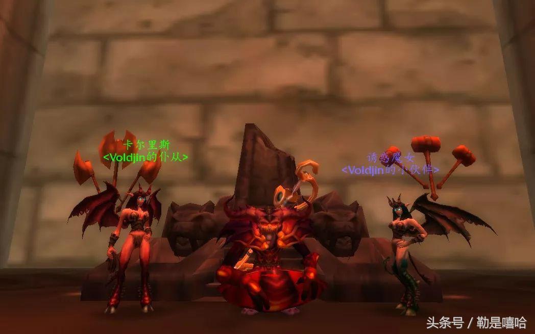 魔兽世界各种稀有宠物排名,魔兽世界稀有宠物排行榜