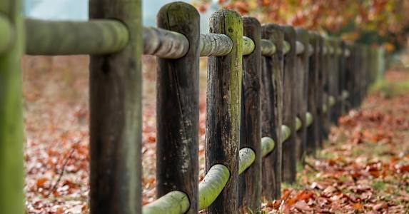 傻女人嫁聪明男人会怎么样,傻女嫁给温柔丈夫