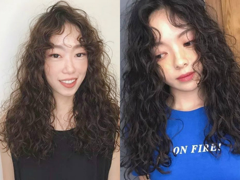 女士齐肩全头小卷烫发图片,30-40岁圆脸发型短发烫发中小卷