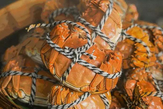 高淳固城湖大闸蟹什么时候吃,2019固城湖大闸蟹可以吃了吗