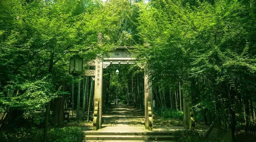 杭州中秋花式赏月,杭州中秋赏月去处