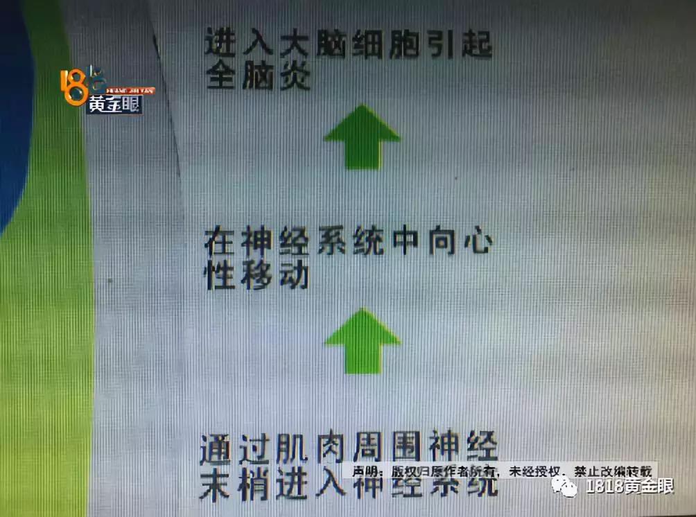 湖州6岁男童被狗咬伤,十几天后没了,确诊为狂犬病,听医生讲讲被狗咬伤后怎么处理