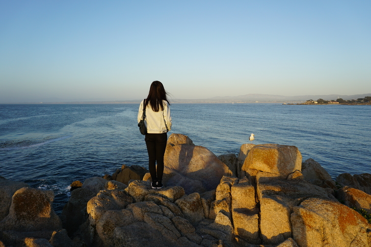 美国纽约自驾游最佳路线图,美国西部大环线自驾游攻略