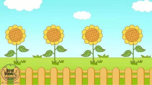 流鼻涕打喷嚏鼻塞怎么区分是鼻炎,鼻塞流鼻涕打喷嚏是感冒还是鼻炎