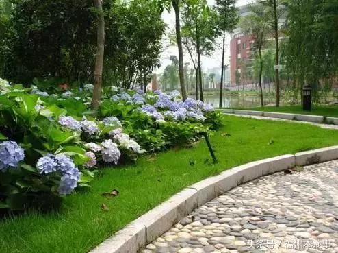 福州一中在全国排名,福州一中在福建的头衔