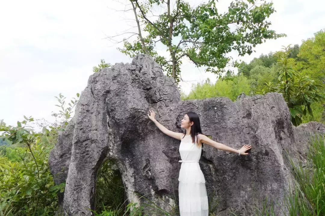 江川区网红粉黛乱子草,网红粉黛乱子草如梦似幻的美景