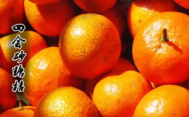 食在广东寻味顺德,食在肇庆