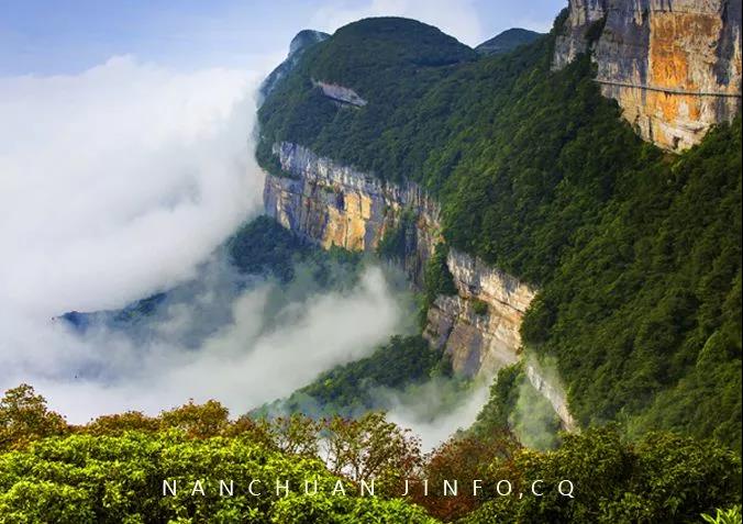 南川方竹笋哪里正宗,笋中之王南川方竹笋