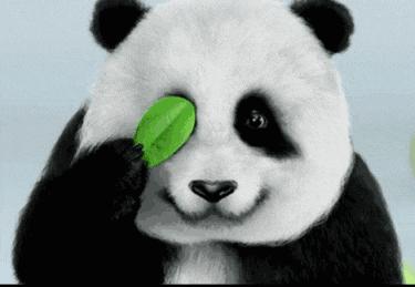 黑眼圈怎么办？如何科学预防黑眼圈？