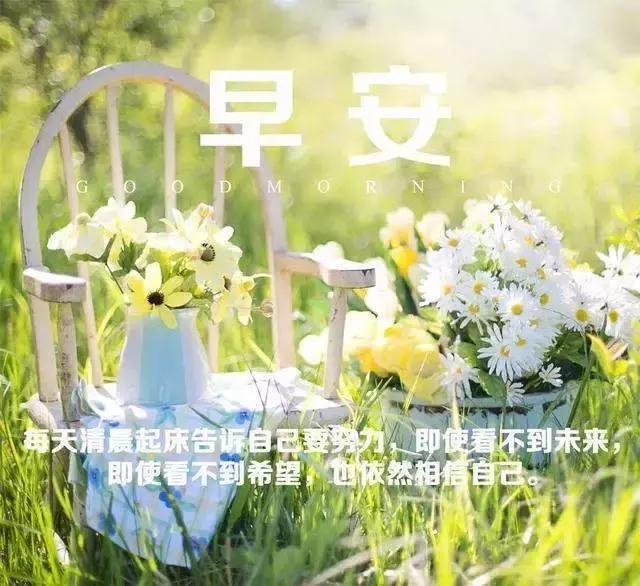 早安心灵鸡汤励志语录正能量短句,早安心灵鸡汤人生感悟正能量短句