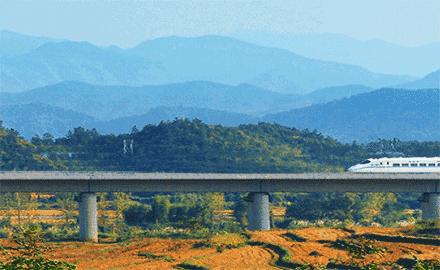 专家称12306即将上线候补购票功能 (12306候补订票怎么捡漏)