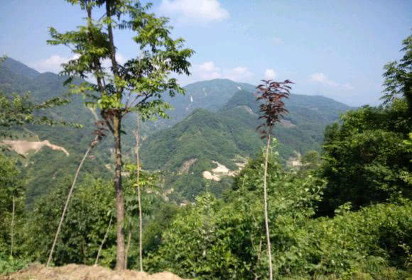 我的爸爸特别喜欢钓鱼,我的爸爸喜欢钓鱼作文二年级