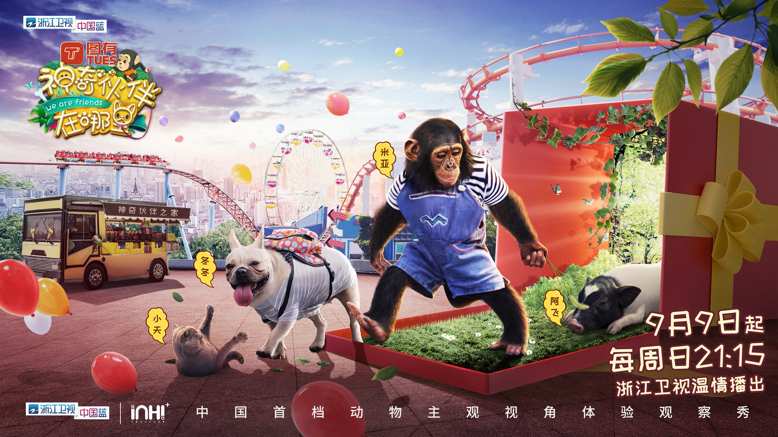 这档动物互动秀有什么治愈“疗法”？解读《神奇伙伴》快乐密码