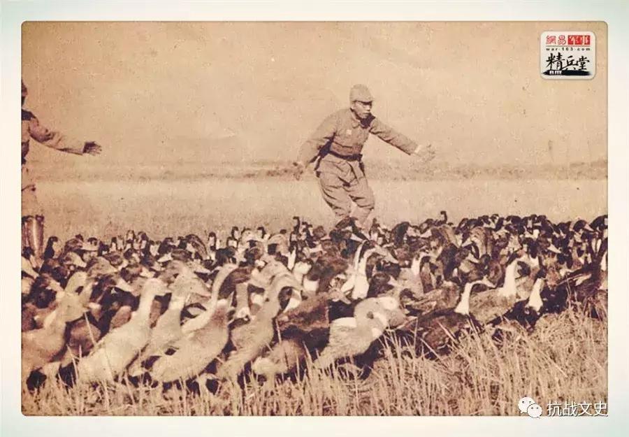 食人恶魔吃什么最好,二战时期日军的食人族