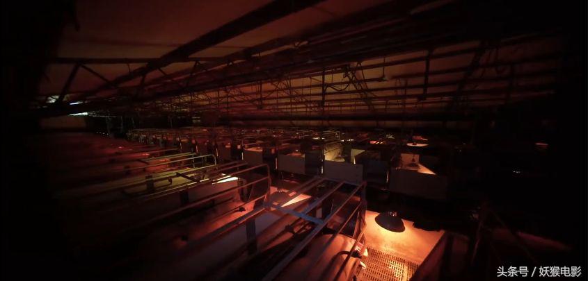 生活究竟有多么残酷,如果你觉得生活很苦不妨看一看