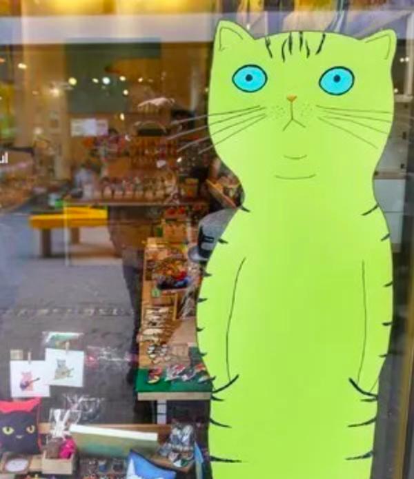 济州岛一年往返12次,到济州岛旅行行程