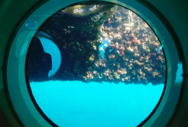 到济州岛旅行行程,济州岛一年往返12次